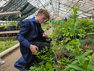 Экзамен пройден — путь к садовым вершинам открыт!
